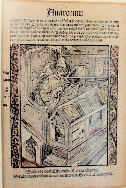 Das Narrenschiff  Holzschnitte von Albrecht Dürer von 1494 "vff die Vasenaht" hier das Blatt: Der Büchernarr