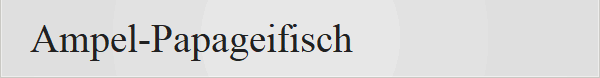 Ampel-Papageifisch