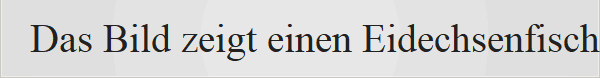 Das Bild zeigt einen Eidechsenfisch (Familie Synodontidae, wahrscheinlich eine Art wie Synodus variegatus oder ein verwandter Riff-Eidechsenfisch), der auf dem sandigen Meeresboden lauert. Aussehen: Langgestreckter, zylindrischer K�rper mit einem eidechsen�hnlichen Kopf, gro�en Augen und Tarnmuster in Sand- und Braunt�nen. Verhalten: Diese bodenbewohnenden Raubfische liegen oft regungslos im Sand vergraben oder auf Riffstrukturen, um vorbeischwimmende Beute blitzschnell zu �berraschen. Das Prinzip der Jagdmethode bleibt bei allen Eidechsenfischen gleich, doch betrachten wir die faszinierende Mechanik und Anatomie hinter diesem blitzschnellen Angriff noch einmal im Detail: Das "Katapult"-Prinzip: Der Eidechsenfisch nutzt seine kr�ftige Schwanzflosse wie eine gespannte Feder. Da er keine Schwimmblase besitzt, ist er schwerer als Wasser und liegt stabil auf dem Boden. Aus dieser Ruhelage kann er sich ohne Vorwarnung wie ein Pfeil nach vorne katapultieren.Der Sog-Effekt: Beim pl�tzlichen �ffnen des gro�en Mauls entsteht unter Wasser ein starker Unterdruck. Kleinere Beutetiere werden dadurch regelrecht in den Rachen hineingesaugt, noch bevor sie die Flucht ergreifen k�nnen.Die "Reuse" im Maul: Die nadelspitzen Z�hne sind flexibel an der Basis. Sie klappen nach hinten um, wenn die Beute ins Maul hineingleitet, stellen sich aber sofort auf und bohren sich fest, sobald die Beute versucht, r�ckw�rts wieder zu entkommen. Das Bild zeigt einen Eidechsenfisch (Familie Synodontidae, wahrscheinlich eine Art wie Synodus variegatus oder ein verwandter Riff-Eidechsenfisch), der auf dem sandigen Meeresboden lauert. Aussehen: Langgestreckter, zylindrischer K�rper mit einem eidechsen�hnlichen Kopf, gro�en Augen und Tarnmuster in Sand- und Braunt�nen.Verhalten: Diese bodenbewohnenden Raubfische liegen oft regungslos im Sand vergraben oder auf Riffstrukturen, um vorbeischwimmende Beute blitzschnell zu �berraschen. Perfekte Tarnung: Der Fisch liegt v�llig regungslos auf dem sandigen Meeresboden oder auf Korallenbl�cken. Oft gr�bt er sich so weit in den Sand ein, dass nur noch seine Augen herausragen. Durch seine br�unlich-graue Musterung verschmilzt er optisch komplett mit der Umgebung. Blitzschneller �berraschungsangriff: Sobald ein Beutefisch oder eine Garnele ahnungslos vorbeischwimmt, schnellt der Eidechsenfisch mit einer explosiven Bewegung nach vorne oder oben. Der Angriff dauert oft nur den Bruchteil einer Sekunde.Festhalten der Beute: Der Eidechsenfisch verdankt seinen Namen unter anderem seinem reptilienartigen Maul, das mit zahlreichen nadelspitzen, nach hinten gebogenen Z�hnen besetzt ist � sogar auf der Zunge. Hat er eine Beute gepackt, gibt es f�r sie aufgrund der Zahnstellung kein Entkommen mehr. Das Prinzip der Jagdmethode bleibt bei allen Eidechsenfischen gleich, doch betrachten wir die faszinierende Mechanik und Anatomie hinter diesem blitzschnellen Angriff noch einmal im Detail: Das "Katapult"-Prinzip: Der Eidechsenfisch nutzt seine kr�ftige Schwanzflosse wie eine gespannte Feder. Da er keine Schwimmblase besitzt, ist er schwerer als Wasser und liegt stabil auf dem Boden. Aus dieser Ruhelage kann er sich ohne Vorwarnung wie ein Pfeil nach vorne katapultieren. Der Sog-Effekt: Beim pl�tzlichen �ffnen des gro�en Mauls entsteht unter Wasser ein starker Unterdruck. Kleinere Beutetiere werden dadurch regelrecht in den Rachen hineingesaugt, noch bevor sie die Flucht ergreifen k�nnen.Die "Reuse" im Maul: Die nadelspitzen Z�hne sind flexibel an der Basis. Sie klappen nach hinten um, wenn die Beute ins Maul hineingleitet, stellen sich aber sofort auf und bohren sich fest, sobald die Beute versucht, r�ckw�rts wieder zu entkommen.Da im letzten Schritt zwei Optionen zur Auswahl standen, findest du hier den spannenden Vergleich mit dem Peterm�nnchen sowie die �berraschenden Feinde des Eidechsenfischs auf einen Blick:Der Vergleich: Eidechsenfisch vs. Peterm�nnchen Obwohl beide Fische im Sand lauern, nutzen sie v�llig unterschiedliche Strategien, um sich zu sch�tzen und zu behaupten: Eidechsenfisch (Lauerj�ger des Riffs): Er verl�sst sich rein auf seine optische Tarnung, Schnelligkeit und sein messerscharfes Gebiss. Er besitzt keinerlei Gift. Wenn Gefahr droht, verl�sst er sich auf die Flucht oder gr�bt sich tiefer ein.Peterm�nnchen (Der giftige Sandj�ger): Dieser Fisch ist ber�chtigt f�r seine hochgiftigen Stacheln auf der R�ckenflosse und am Kiemendeckel. Er lauert ebenfalls im Sand vergraben, nutzt sein Gift jedoch als brutale Verteidigungswaffe gegen Angreifer (und schmerzhaft f�r unvorsichtige Badeg�ste).