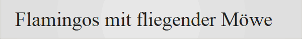 Flamingos mit fliegender M�we
