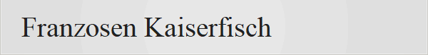 Franzosen Kaiserfisch 