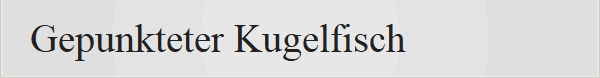 Gepunkteter Kugelfisch 