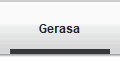 Gerasa