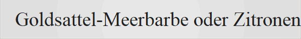 Goldsattel-Meerbarbe oder Zitronenbarbe -Goldsattel-Meerbarbe oder Zitronenbarbe: Die Goldsattel-Meerbarbe (Parupeneus cyclostomus), auch Gelbsattel-Meerbarbe genannt, ist ein aktiver, auff�lliger Riff- und Zierfisch aus der Familie der Meerbarben. Gr��e: Sie wird bis zu 45 Zentimeter lang, bleibt im Schnitt aber bei etwa 25 bis 40 Zentimetern.F�rbung: Die Farbe variiert stark von gelblich-grau mit blauen Schuppenr�ndern bis hin zu komplett leuchtend gelben Morphen.Merkmale: Charakteristisch sind zwei lange, bewegliche Sinnesbarteln (Bartf�den) am Kinn sowie oft ein gro�er gelber Fleck bzw. Sattel am Schwanzstiel oder hinter dem Kopf. 