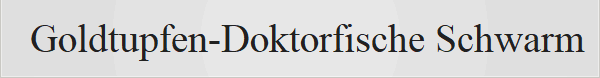 Goldtupfen-Doktorfische Schwarm