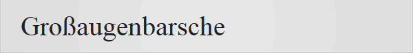 Gro�augenbarsche