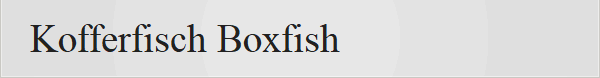 Kofferfisch Boxfish 