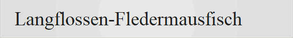 Langflossen-Fledermausfisch 