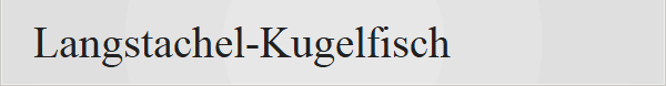 Langstachel-Kugelfisch
