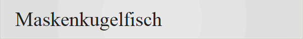 Maskenkugelfisch