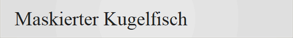Maskierter Kugelfisch 