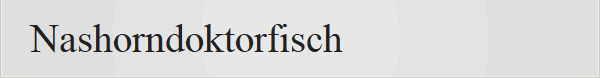 Nashorndoktorfisch
