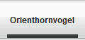 Orienthornvogel