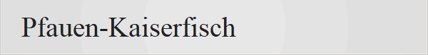 Pfauen-Kaiserfisch