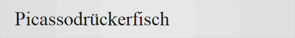 Picassodr�ckerfisch
