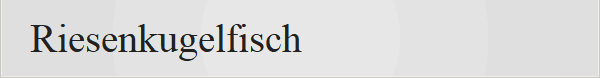 Riesenkugelfisch