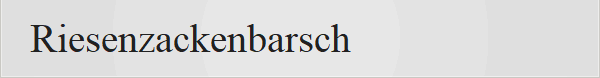 Riesenzackenbarsch