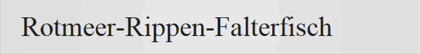 Rotmeer-Rippen-Falterfisch 