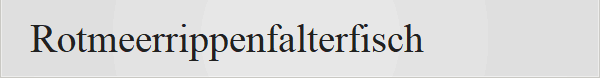 Rotmeerrippenfalterfisch