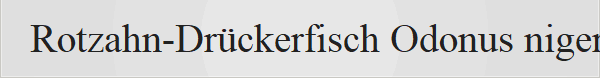 Rotzahn-Dr�ckerfisch Odonus niger
