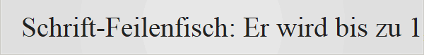 Schrift-Feilenfisch: Er wird bis zu 1,10 Meter lang. Er ist der gr��te aller Feilenfische. Seine Haut ist olivbraun bis grau gef�rbt. Er hat viele blaue Linien und kleine schwarze Punkte. Lebensraum: Er lebt in tropischen Meeren auf der ganzen Welt. Man findet ihn in Tiefen von 2 bis 80 Metern. Er h�lt sich gerne in Lagunen und an Riffen auf.