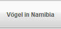 Vgel in Namibia