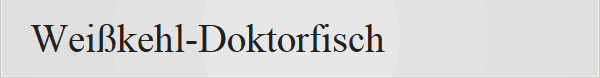 Wei�kehl-Doktorfisch