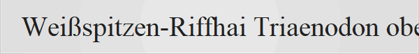 Wei�spitzen-Riffhai Triaenodon obesus