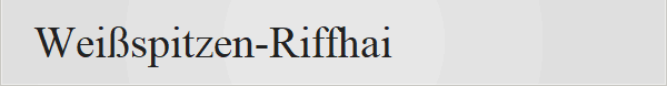Wei�spitzen-Riffhai