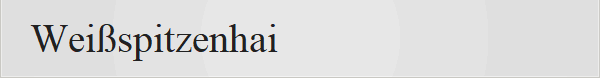 Wei�spitzenhai