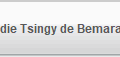 die Tsingy de Bemaraha