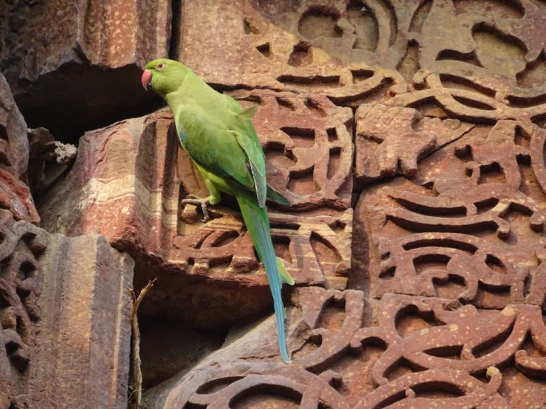 Die aufwendigen Schnitzereien zeigen eine Mischung aus indo-islamischer Architektur und Inschriften, die belegen, dass Materialien aus abgerissenen Hindu- und Jain-Tempeln verwendet wurden. Der Turm selbst ist 72,5 Meter hoch und gilt als das h�chste Mina