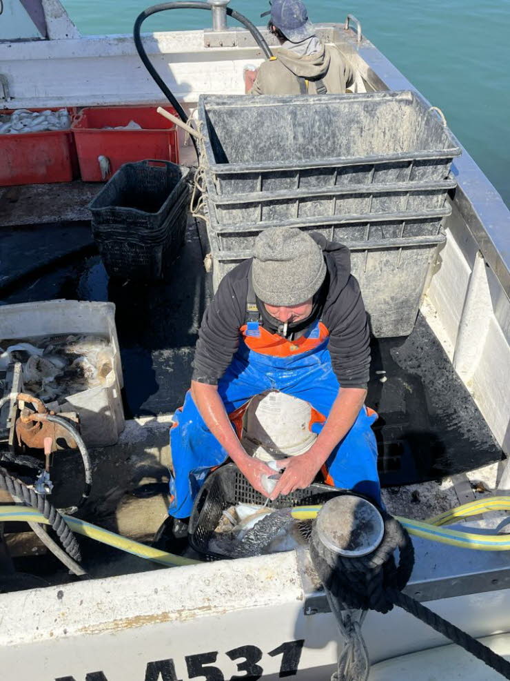 lebendige Szene von einem aktiven Fischerboot mit k�rperlicher Arbeit. Zwei Menschen sind vollkommen im Rhythmus ihrer Arbeit versunken: beim Sortieren, Reinigen und Verarbeiten des Fangs. Das nasse Deck, die gestapelten Kisten, die Schl�uche und Seile � 