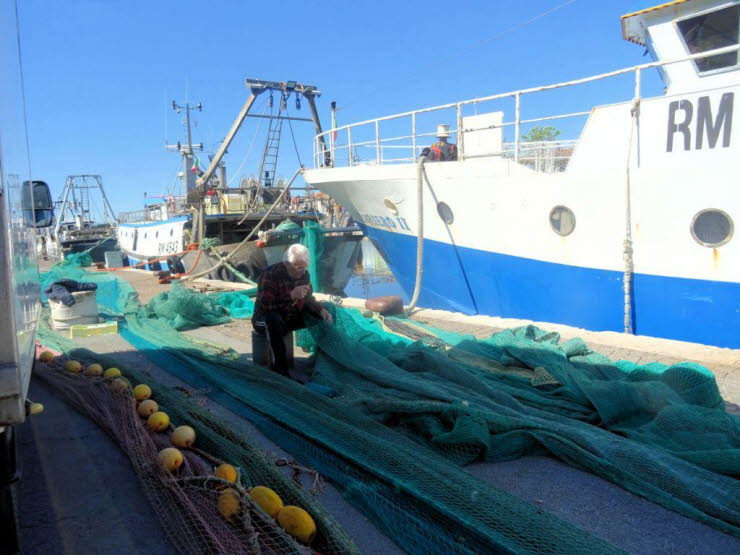 Arbeitsalltag im Fischereihafen in Rimini: 1. Was wir konkret sehen � die sichtbaren Elemente: Mehrere Fischerboote liegen l�ngsseits am Kai. Eines tr�gt die Kennung RM 5453, ein anderes den Namen ALBERTO II. Die Kennung RM deutet auf einen Hafen im itali