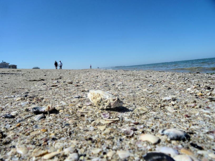 Das Bild zeigt eine Strandlandschaft von Rimini. Das Bild f�hrt den Blick: von der Mikroebene (Muscheln), zur Mesoebene (Strand, Wasser) ,zur Makroebene (Himmel, Horizont, Architektur). Diese Bewegung ist nicht nur r�umlich, sondern auch symbolisch: vom D