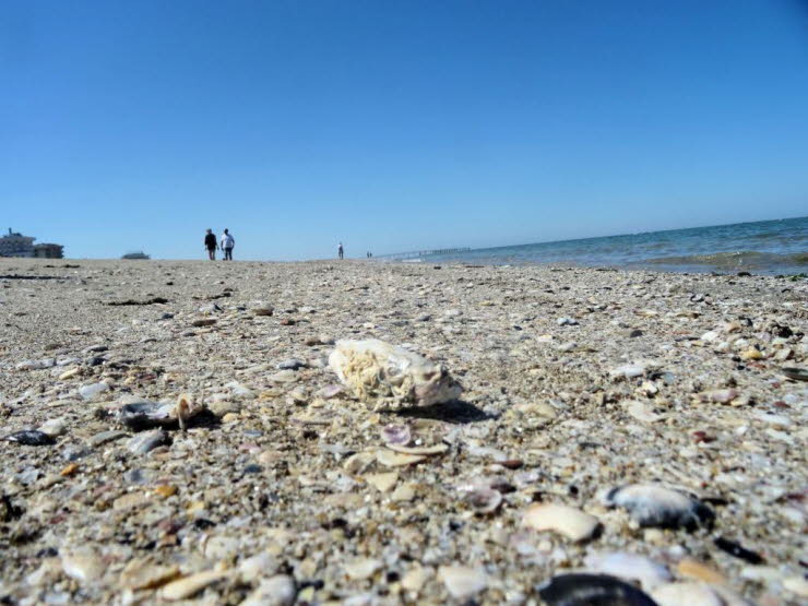 Das Bild zeigt eine Strandlandschaft von Rimini. Das Bild f�hrt den Blick: von der Mikroebene (Muscheln), zur Mesoebene (Strand, Wasser) ,zur Makroebene (Himmel, Horizont, Architektur). Diese Bewegung ist nicht nur r�umlich, sondern auch symbolisch: vom D
