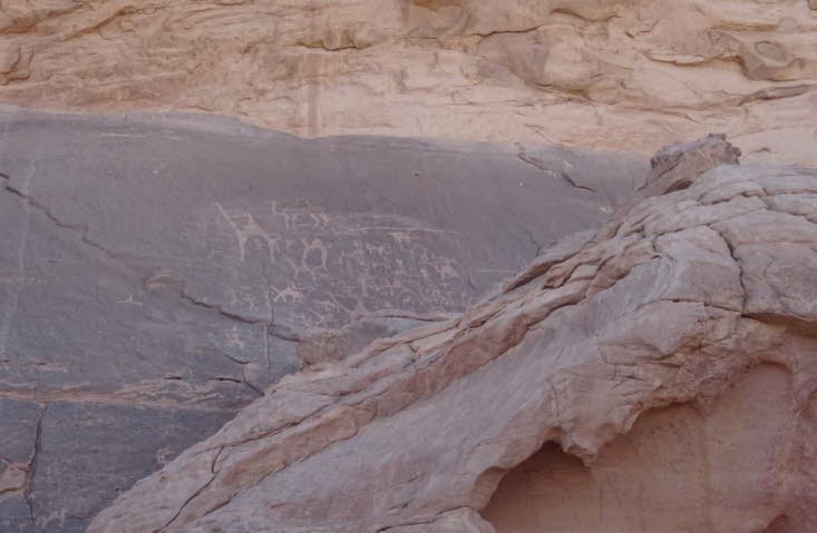 Die Felsgravuren im Bild befinden sich im Wadi Rum, einem UNESCO-Weltkulturerbe in Jordanien, das auch als "Tal des Mondes" bekannt ist. Diese antiken Petroglyphen zeigen Darstellungen von Tieren (wie Kamelen und Antilopen) und menschlichen Figuren. 