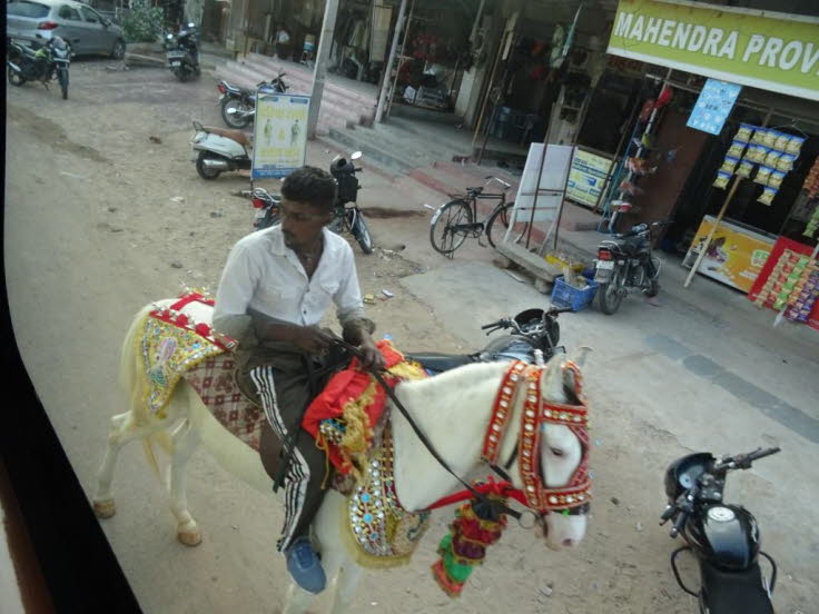Auf dem Bild ist eine indische Stra�enszene zu sehen, auf der ein Mann auf einem festlich geschm�ckten, wei�en Pferd reitet. Beschreibung der Szene: Das Pferd: Das Pferd ist mit farbenfrohen Decken, einem kunstvollen Zaumzeug mit roten und goldenen Detail