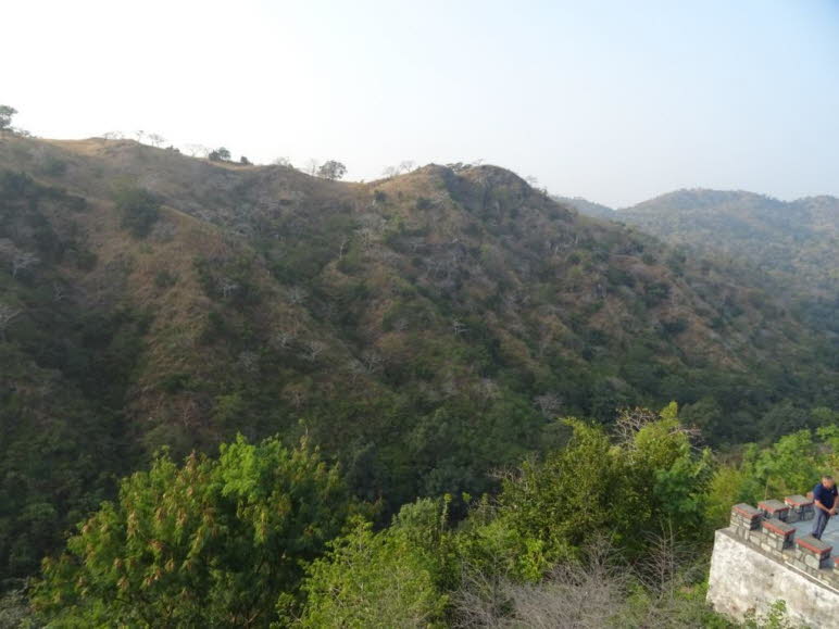 Die Landschaft um den Tempel