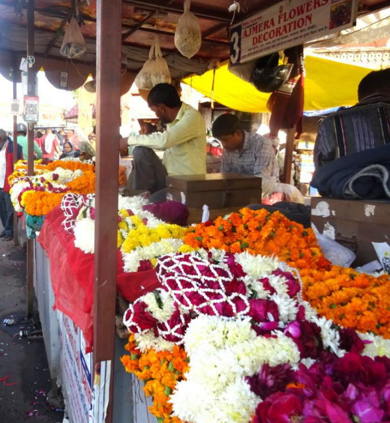 Blumen spielen in der indischen Kultur eine heilige Rolle und symbolisieren Reinheit, Hingabe und die Verbindung zum G�ttlichen. Sie sind ein unverzichtbarer Bestandteil des t�glichen Lebens, von der Verehrung in Tempeln bis hin zu Hochzeiten und Festen. 