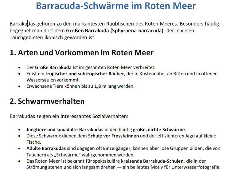 Gro�er Barrakuda-Schwarm 