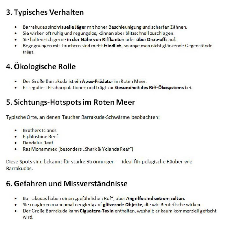 Gro�er Barrakuda-Schwarm