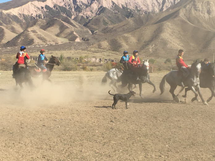Kokpar ist ein Spiel, das unter den Vlkern Zentralasiens weit verbreitet ist. Auf Kirgisisch und Usbekisch heit es Ulak tarish, auf Tadschikisch buzkashi. Auch in anderen stlichen Lndern gibt es nationale Reitspiele, beispielsweise Pferderennen. D