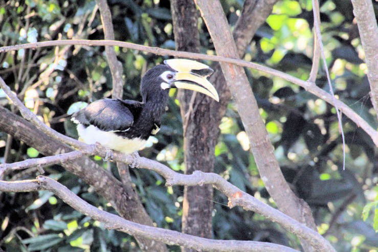 Innerhalb der H�hle