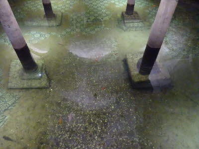 Diese Aufnahme zeigt die �berflutete Krypta der Basilika San Francesco in Ravenna, Italien. �berflutete Mosaike: Die Krypta steht aufgrund von Bodensenkungen dauerhaft unter Wasser, wodurch die antiken Mosaikb�den aus dem 5. oder 6. Jahrhundert sichtbar, 