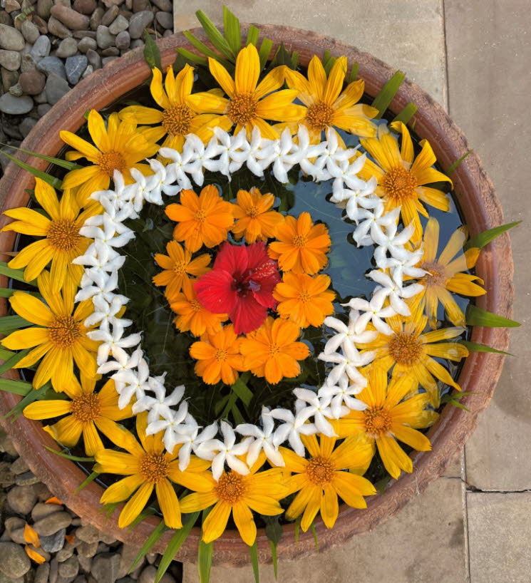 dekorative Blumenanordnung