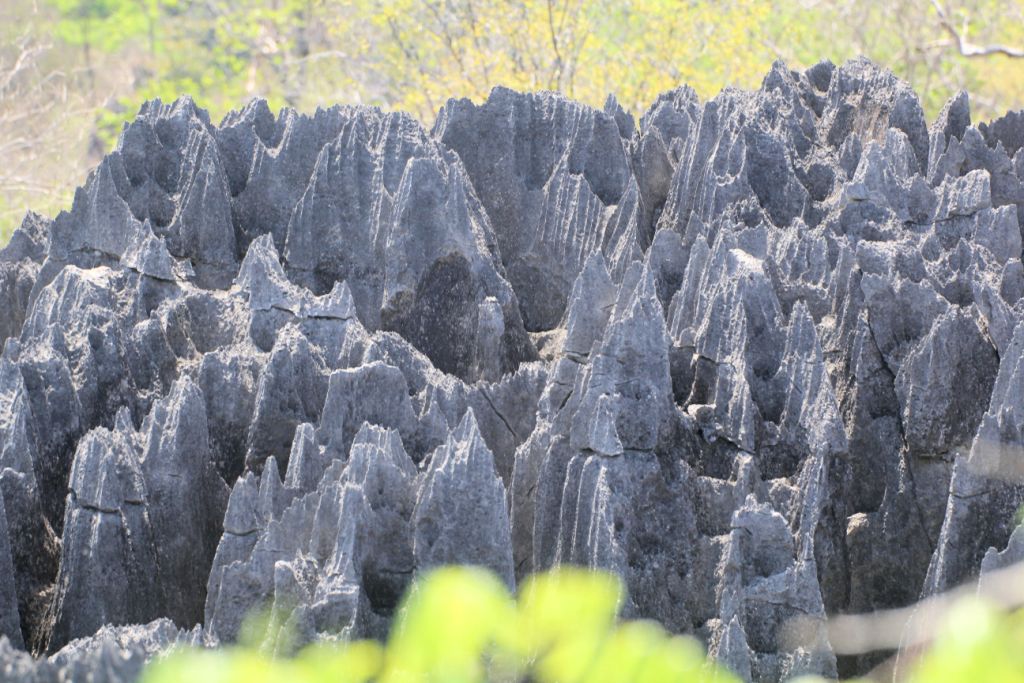 die Tsingy de Bemaraha